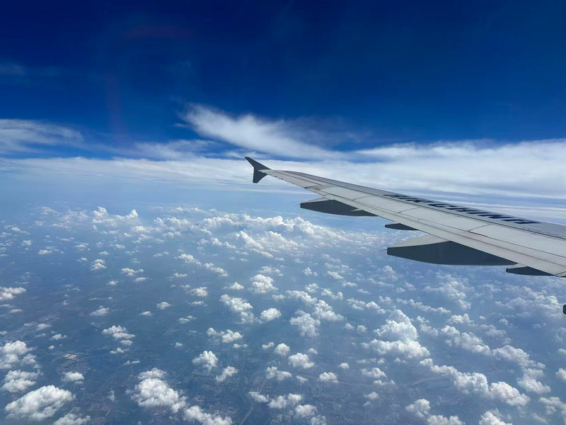 Air: The Breath of Mind