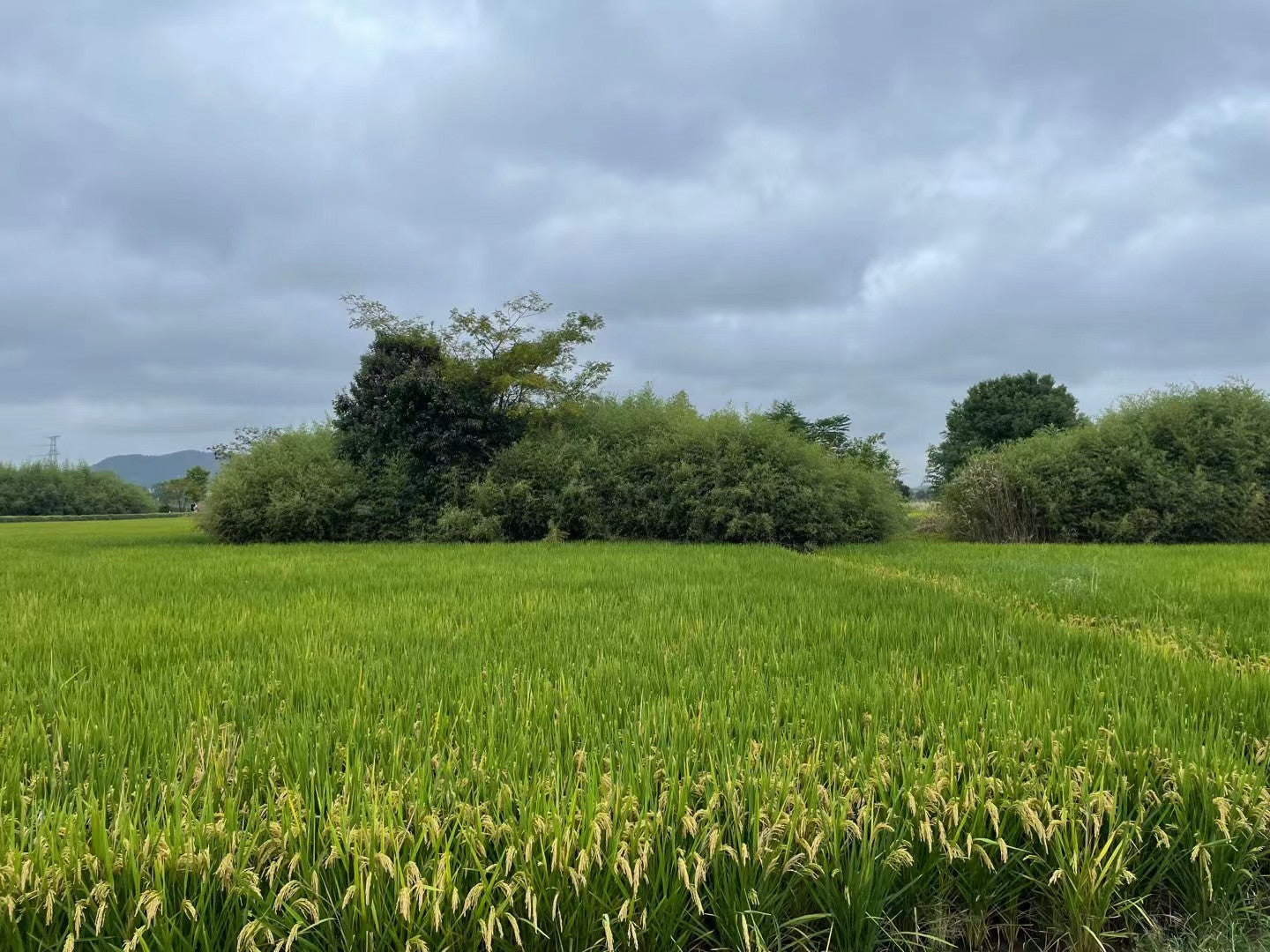 Earth: Our Solid Ground