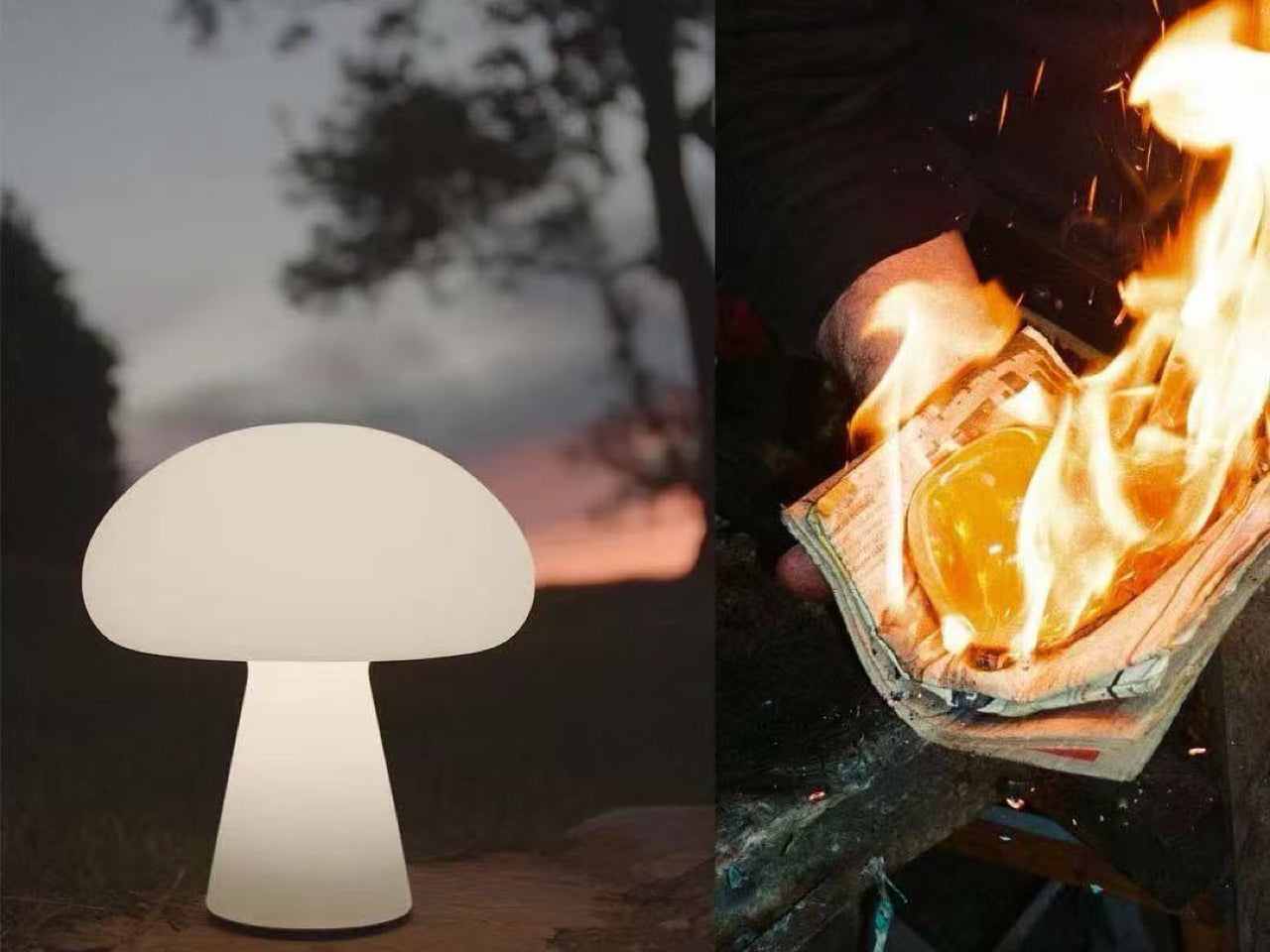 Fire: The Spark of Life